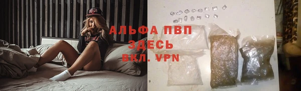 СК Алексин